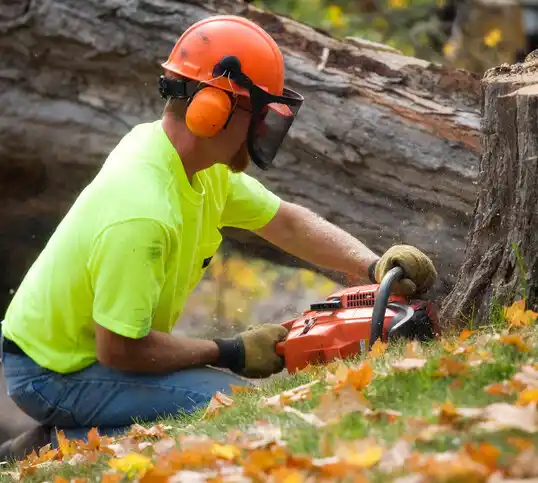 tree services Pioneer Junction